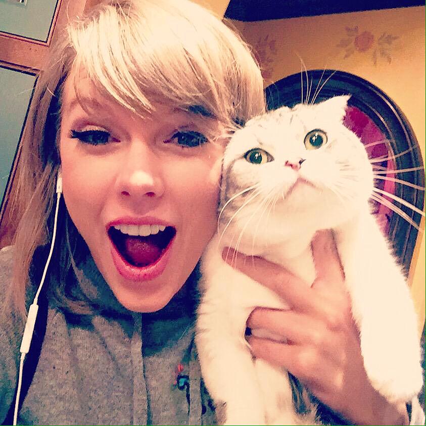 Moonnight13Tay's tweet photo. Twitter軽く乗っ取られてたのが
終わったっ👏🏻✨💕
こらからもよろしくデス🙋🏼
記念に可愛いすぎるこの写真💋
LINEのトプ画にしたいいいい… http://t.co/cmElwyM3vl
