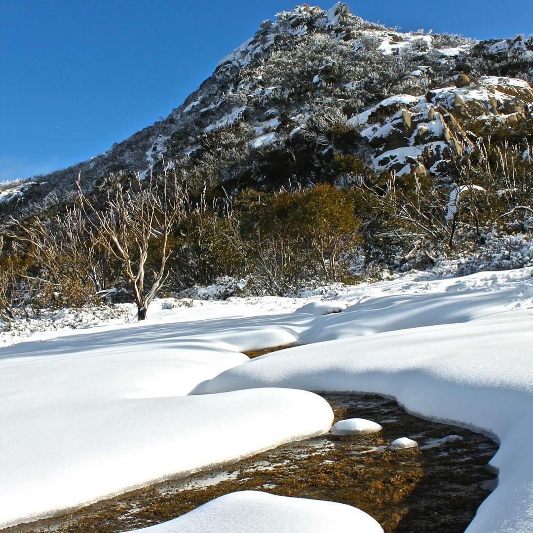 SNOWSEARCH_aus's tweet photo. Chance to WIN lift tickets &amp; help the campaign to #BringBackTheBuff 
📝@mountbuffalo
📷 @adventureguidesaustralia [IG] http://t.co/B7NrIVD3wH