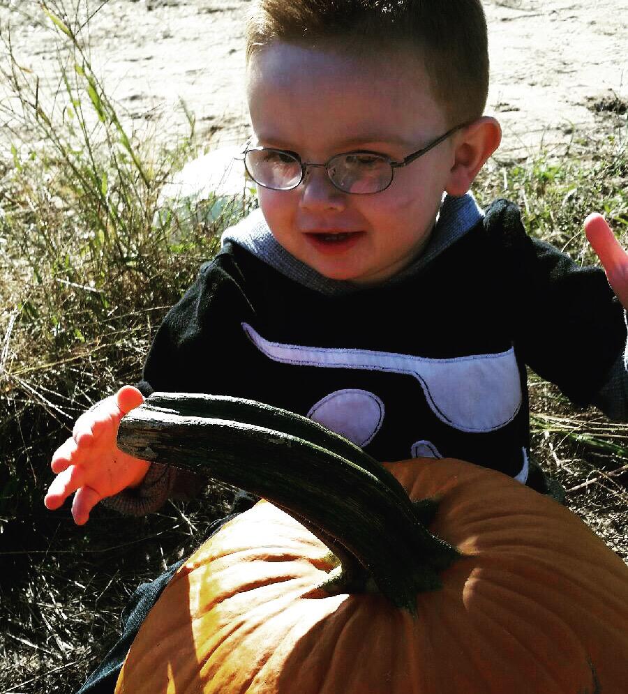 kaufoldstore's tweet photo. Favorite weekend picture! #kaufoldsfarm #kaufolds #pickyourownpumpkins #longisland #northfork #southfork #lifarms http://t.co/ZKEwb1IOHS