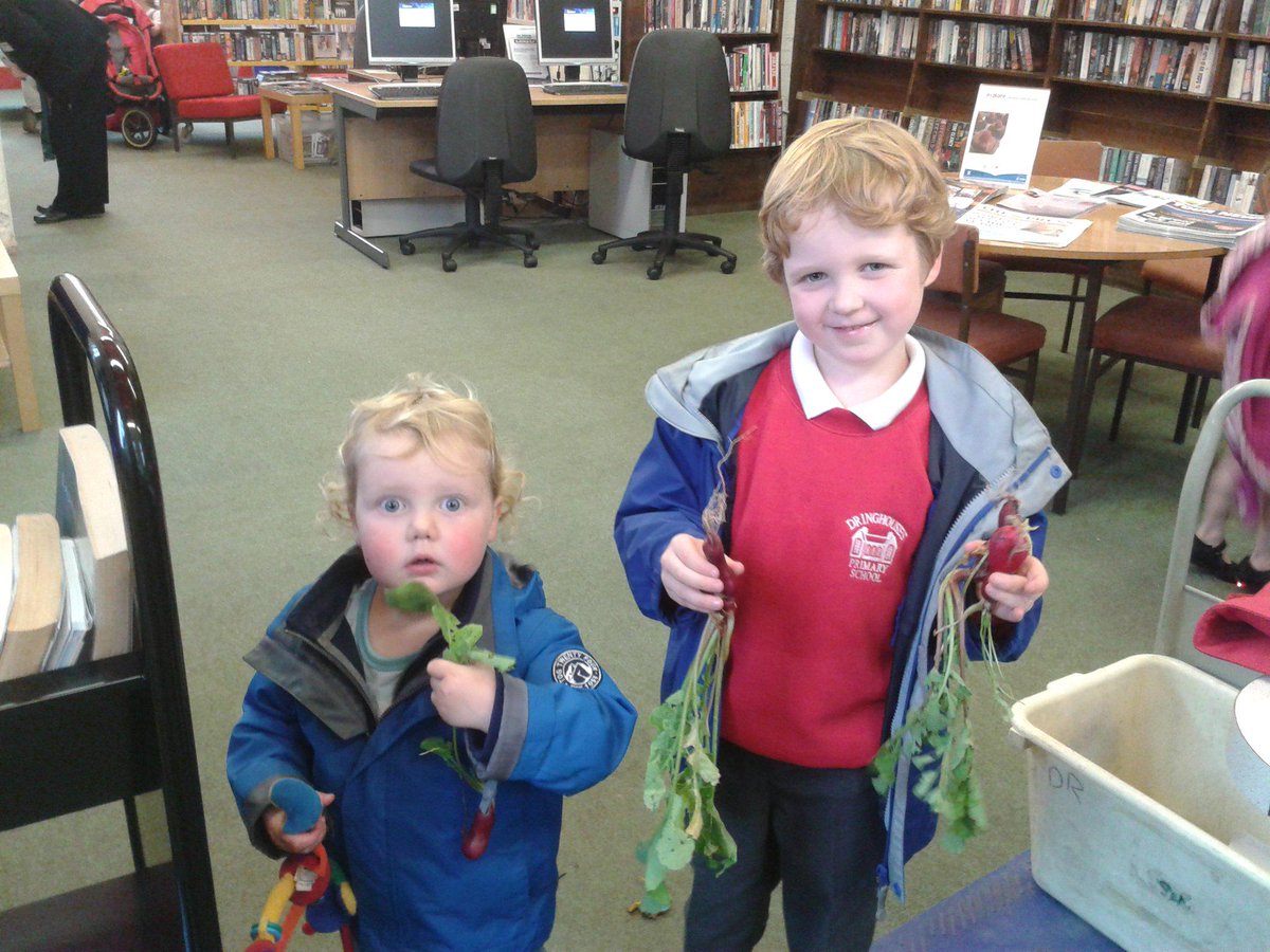 dringlibrary's tweet photo. Wow, look at these amazing radishes! Grown from our Planting the Past #g2h activity. Well done boys.@YorkArchivesUK http://t.co/AlHkefoT3a
