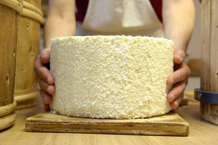 Un gustoso #viaggio fra i #formaggi del #Trentino, con la nostra cicerona <a href="/Aleo_Alessia/">Alessia Aleo</a>  
cibusinfabula.net/le-vie-del-for…