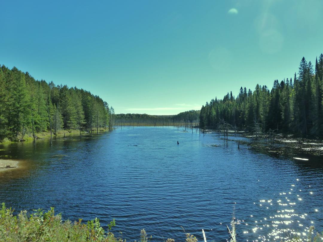 megafan_ch1ck's tweet image. Miss it already!! #algonquinpark #lovecamping