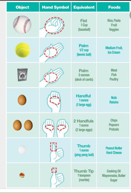 Laurann O'Reilly on X: Confused about food portion sizes, try this visual  aid #foodportionsizes #obesity  / X