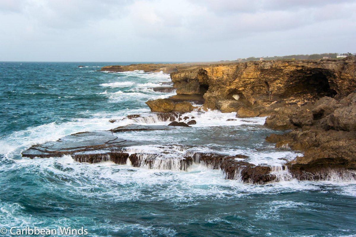 CaribbeanWinds's tweet image. The coastline of #Barbados isn't always lined with beaches. But it's always wild and beautiful.