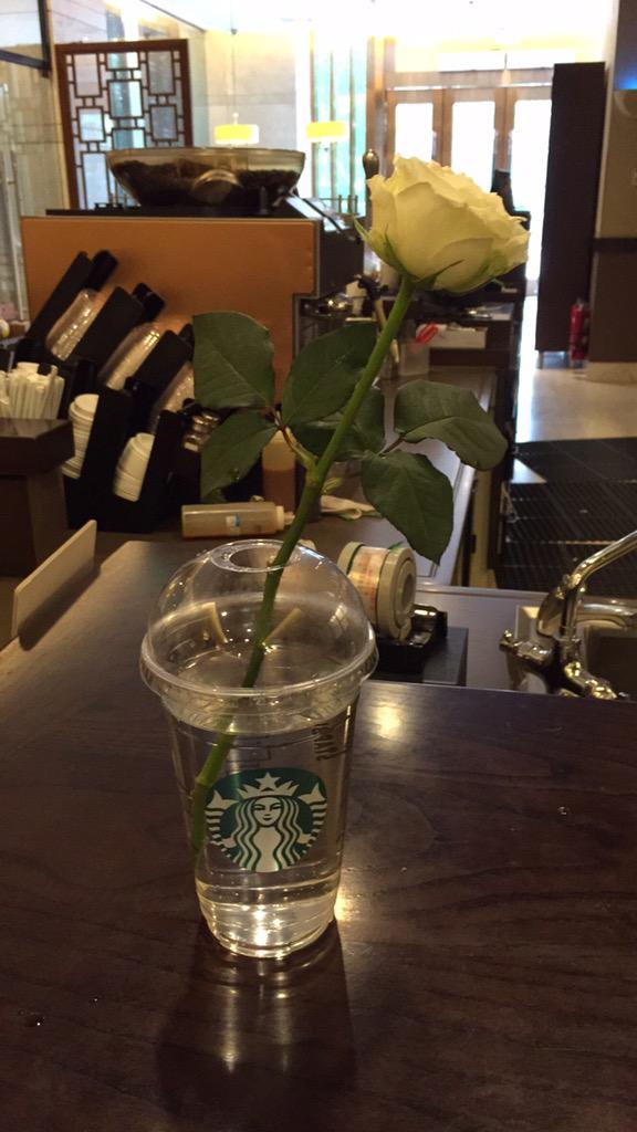 luozhichen's tweet photo. Rose with Starbucks http://t.co/mINt8s0790