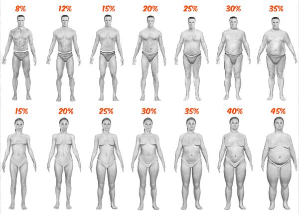 Featured image of post Fat Male Body Drawing Reference / Over fifteen hundred years later, sometime around 1487, leonardo da vinci drew the human figure per vitruvius' it starts with establishing reference points—parts of the body that'll determine how large other parts should be to achieve a pleasing whole.