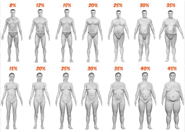 Body Fat Percentage Chart For Men & Women (With Pictures