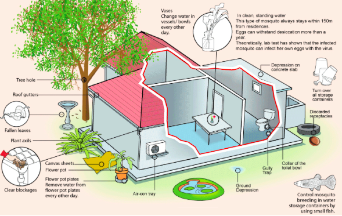 bolih's tweet photo. Keep your environment clean or install the FightDengue Kit in your garden to prevent dengue. http://t.co/usSDLehjNG http://t.co/kIn2STCgDf