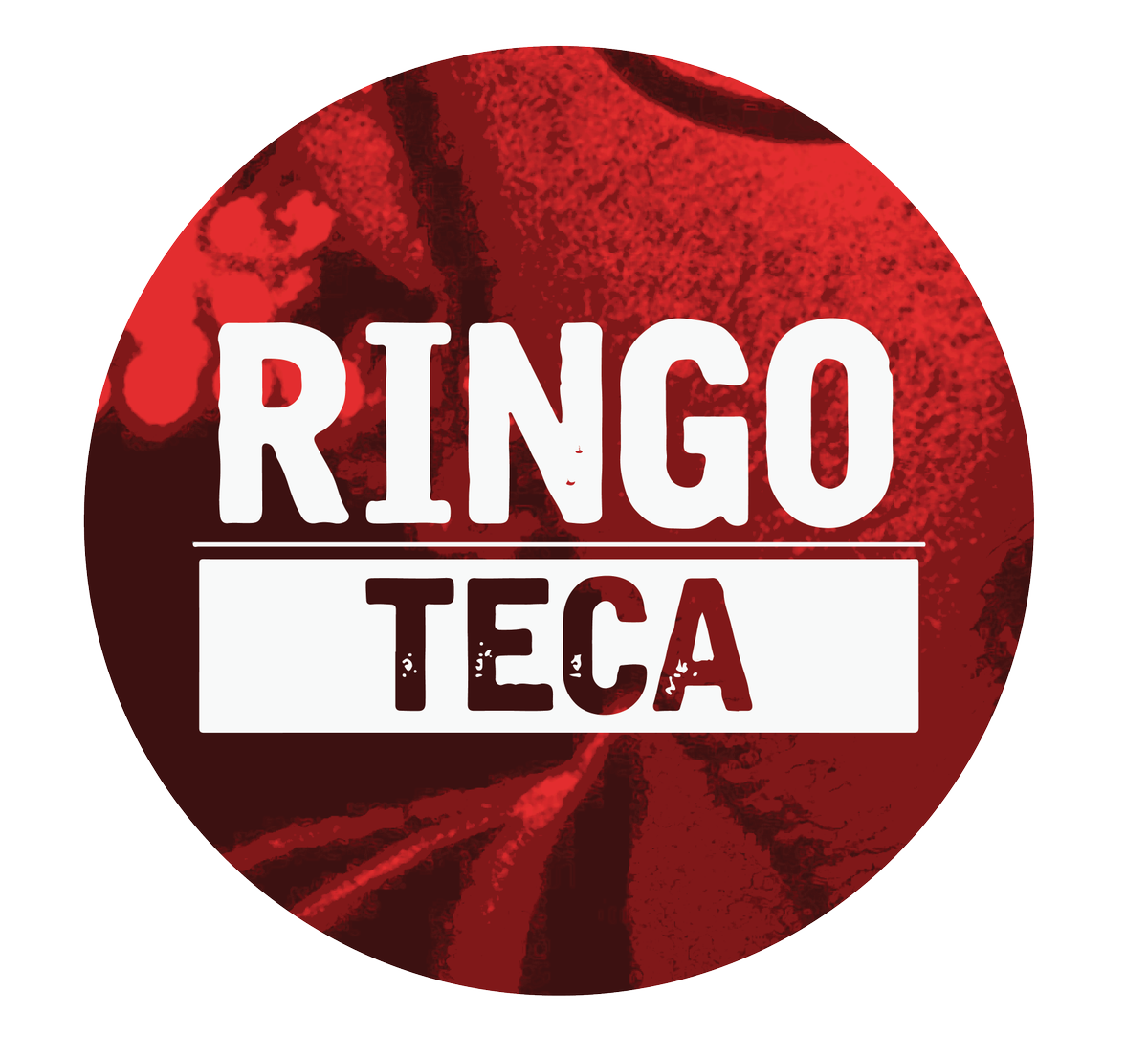 CanalAcequia's tweet photo. A las 16 viene @agustinabecares a #Ringoteca a charlar con @RingoObregon sobre música y sus videos favoritos http://t.co/bKafLFAYVQ