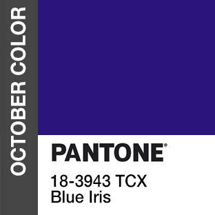 calibritecolor's tweet photo. WIN GREAT PRIZES IN OUR CAPTURE THE COLOR CONTEST http://t.co/yZnFxOg73S #PhotoContest #CaptureTheColor #Pantone http://t.co/IUbSu2mSQR