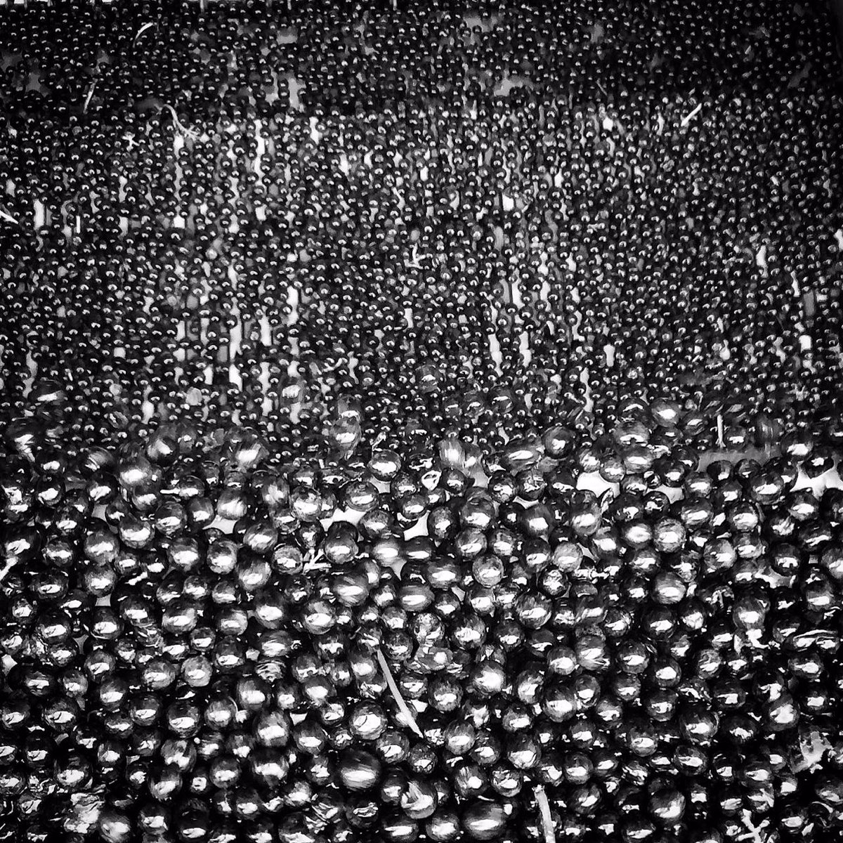 #caviar or #berries Château Croix de Rambeau #merlot #2015harvest <a href="/Prodelsur1/">Productos del Sur 1</a> <a href="/berrybrosrudd/">Berry Bros. & Rudd</a> <a href="/SelectFrechette/">Fréchette, Vins d’exception</a> <a href="/LGTDM/">GrandesTablesDuMonde</a>