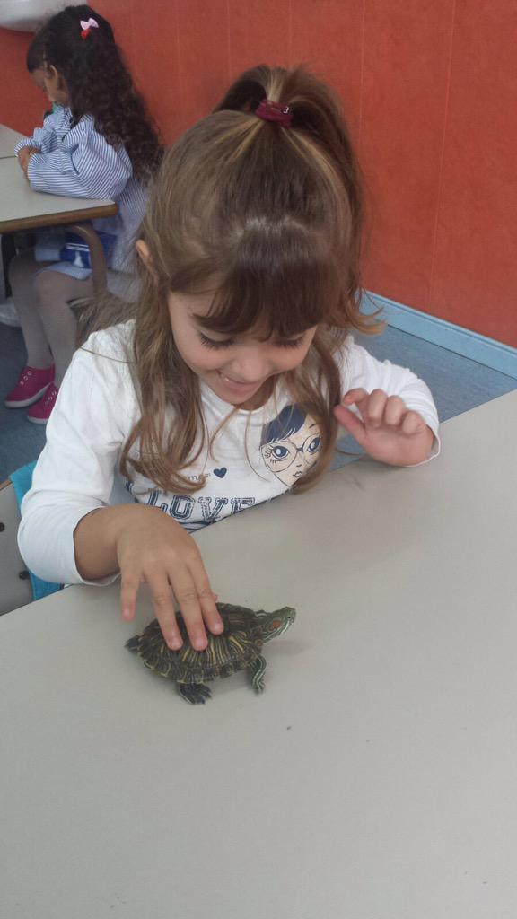 stgervasi's tweet photo. Avui ha vingut la pepa a la classe de p3! #benvinguda #p3 #lestortugues http://t.co/qxyGJLKXWk