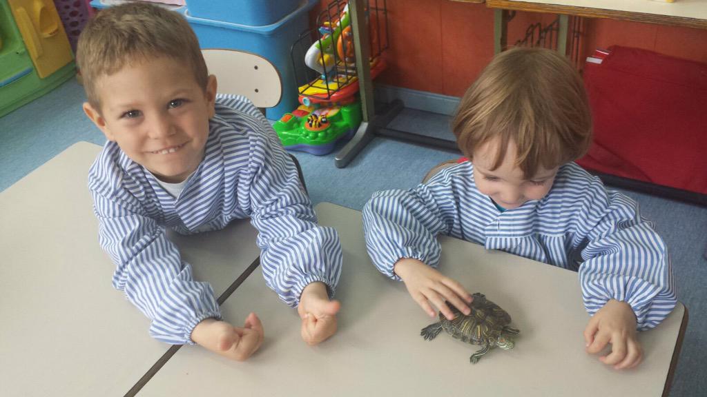 stgervasi's tweet photo. Avui ha vingut la pepa a la classe de p3! #benvinguda #p3 #lestortugues http://t.co/qxyGJLKXWk