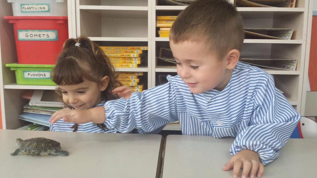 stgervasi's tweet photo. Avui ha vingut la pepa a la classe de p3! #benvinguda #p3 #lestortugues http://t.co/qxyGJLKXWk
