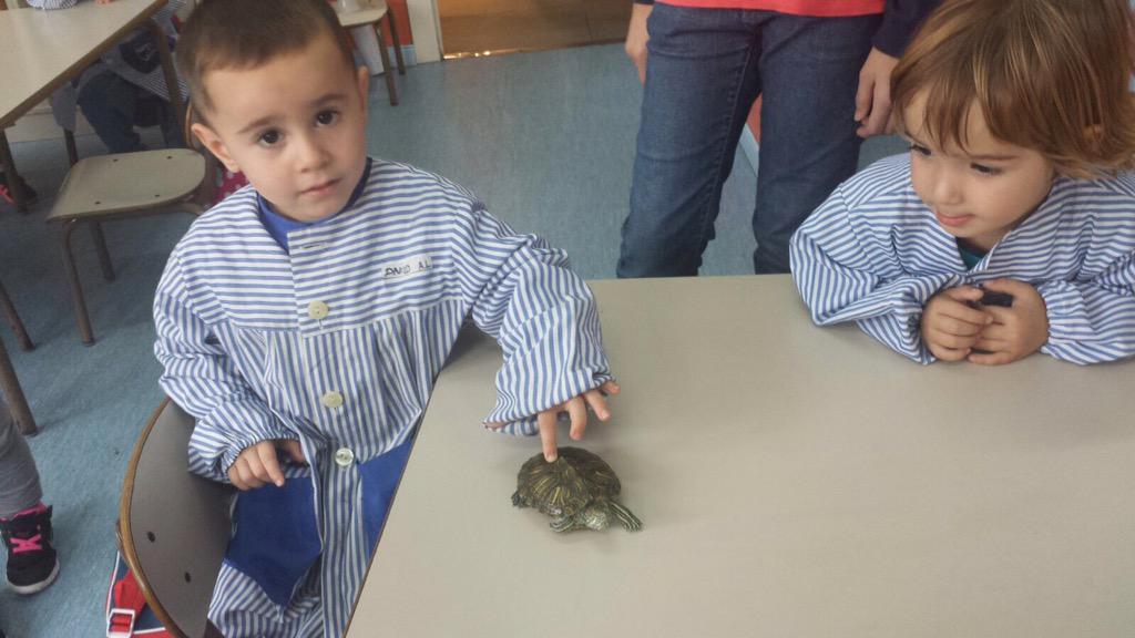 stgervasi's tweet photo. Avui ha vingut la pepa a la classe de p3! #benvinguda #p3 #lestortugues http://t.co/qxyGJLKXWk