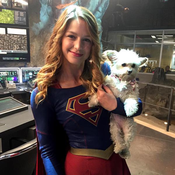 Happy 27th Birthday to Supergirl star Melissa Benoist 