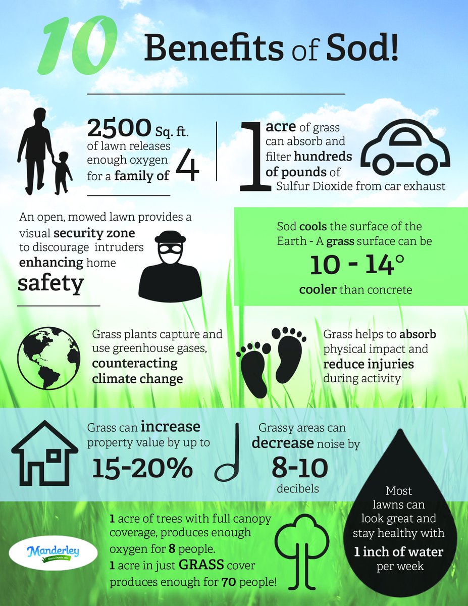 manderleyturf's tweet photo. Ten great benefits of #Sod! #ManderleyTurf #Green #Grass http://t.co/Dbx2SRZ6Zc