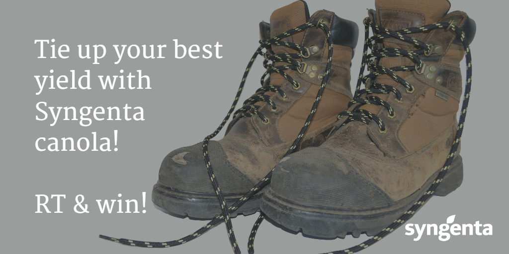 syngentacanada's tweet photo. First 50 to RT this tweet will get a pair of Kevlar laces &amp; be entered to win the boots that match! #Syngentacanola http://t.co/CZyXmq2vGc