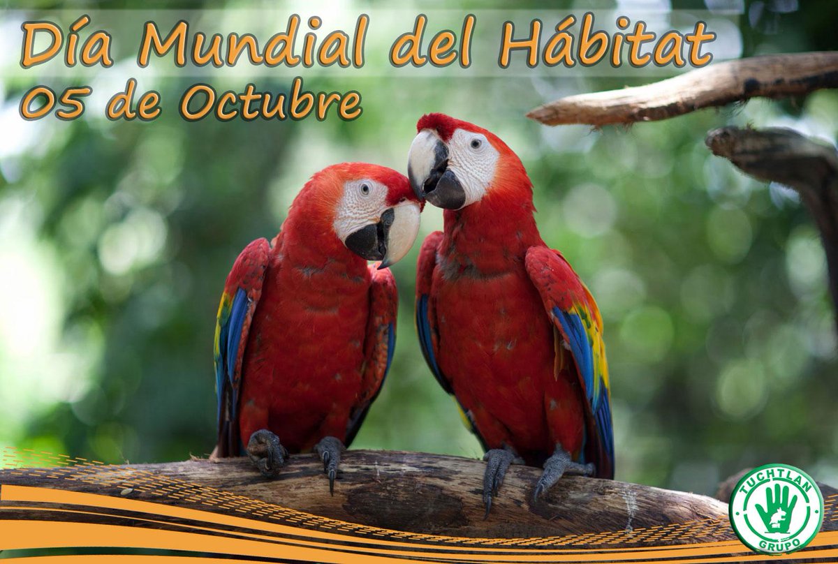Hoy 5 de octubre, se celebra el Día Mundial del Hábitat.
El tema para este año 2015 es “Espacios públicos para todos”
