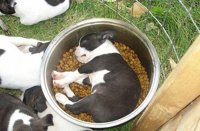 ArtemisVESS's tweet photo. This gives new meaning to breakfast in bed. http://t.co/1hbdiLV3mn