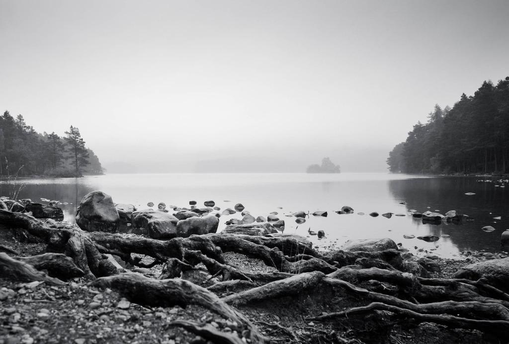 Charlotte_75's tweet photo. Mist over Loch an Eilein, Scottish Highlands #Scotland #trrvel #travelphotography #landscapephotography #Cleaper http://t.co/aWlZFQs3if