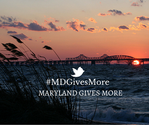 Build a successful #GivingTuesday campaign around inspiring #stories! #FREEWebinar 10/13 -> bit.ly/1FPGm29