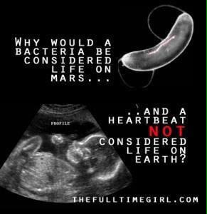 Field4Prez2015's tweet photo. @TJ_Lepreyawn #prolife #DefundPlannedParenthood http://t.co/QCK6VxKsyU
