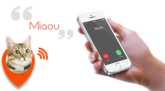 CleekFR's tweet photo. #WeenectCats le GPS qui vous dira exactement où se trouve votre chat http://t.co/f8jceF5ouu http://t.co/7hoeEZW62x