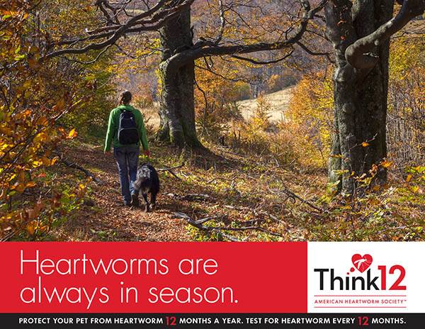 Sage Veterinary Care (@sageveterinary) on Twitter photo It's #HeartwormPrevention month <a href="/SageVeterinary/">Sage Veterinary Care</a>. Buy 12 months worth of #Heartgard, receive the Heartworm Test #Free It's #HeartwormPrevention month <a href="/SageVeterinary/">Sage Veterinary Care</a>. Buy 12 months worth of #Heartgard, receive the Heartworm Test #Free