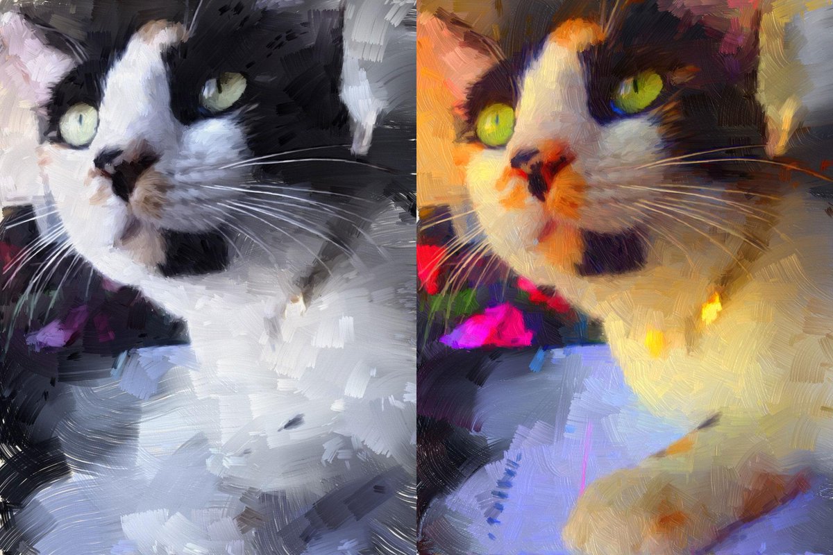 PaintBotApp's tweet image. Moxie the cat!