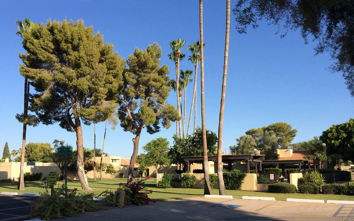 GK2nist's tweet photo. @Limeylizzie I'm in Phoenix proper now, into this place. This is not my house, just the street leading up to it. http://t.co/CgoV83soaz
