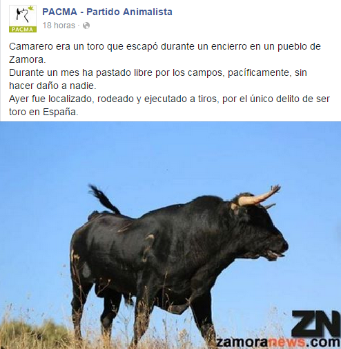 PACMA tweet media