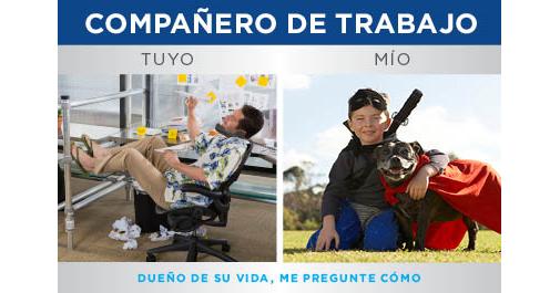 3Denean's tweet photo. Dueño de su vida, me pregunte cómo! http://t.co/WmgQZ07pXr http://t.co/2zWMvdsIq1