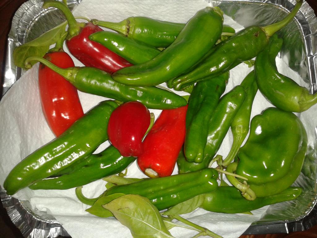 tantumanita's tweet image. l&apos;amore è amore.....
#friggitelli