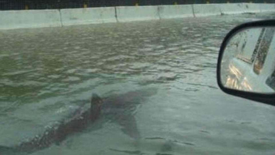 AtleeLL's tweet image. Atlee LL closed today 10/05/15 #sunshineneeded