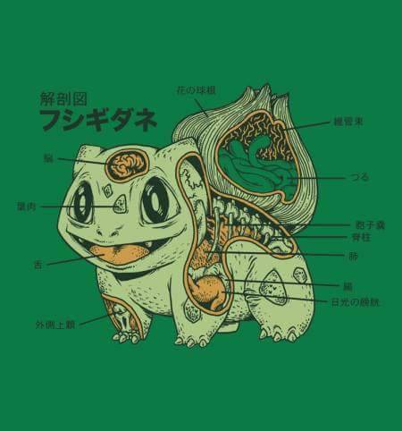 PokemonColombia's tweet photo. Anatomía de un Bulbasaur #PokemonGO #PokemonGOColombia http://t.co/EMjZEMwLgE