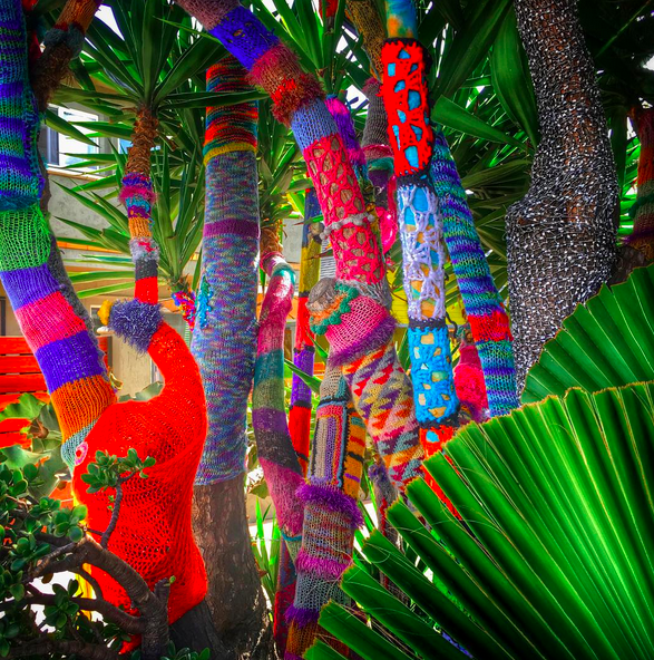 Sandy Hill tweet media