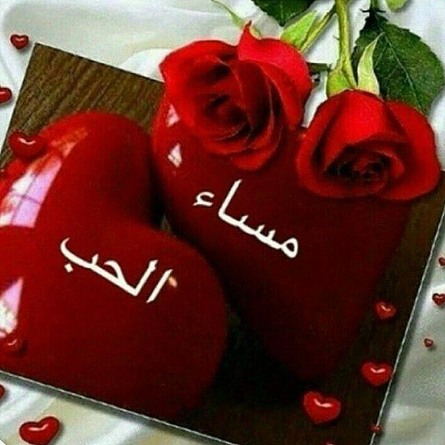 danyala_adel's tweet photo. @raman5116427345 @Tima_______ مساء الخير http://t.co/pgDjQTEpsV