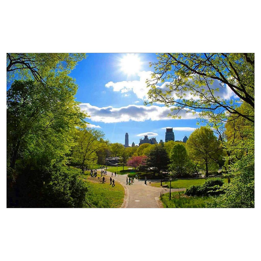 ManhattanNext's tweet image. Care for a stroll in the park? 😍 #Centralpark #beautiful #love #NewYork #Fall