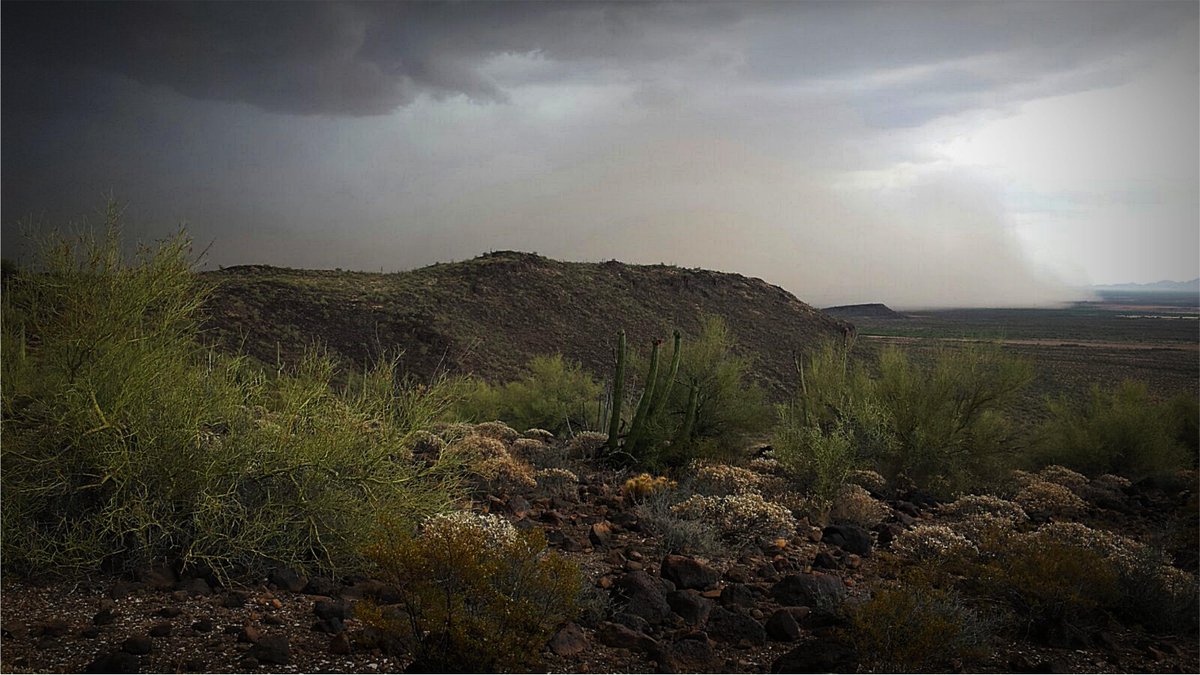 VisualesISC's tweet image. Te presentamos la serie ganadora del tercer lugar de Patricio Aguilar en el Concurso de Fotografía de Aficionados: