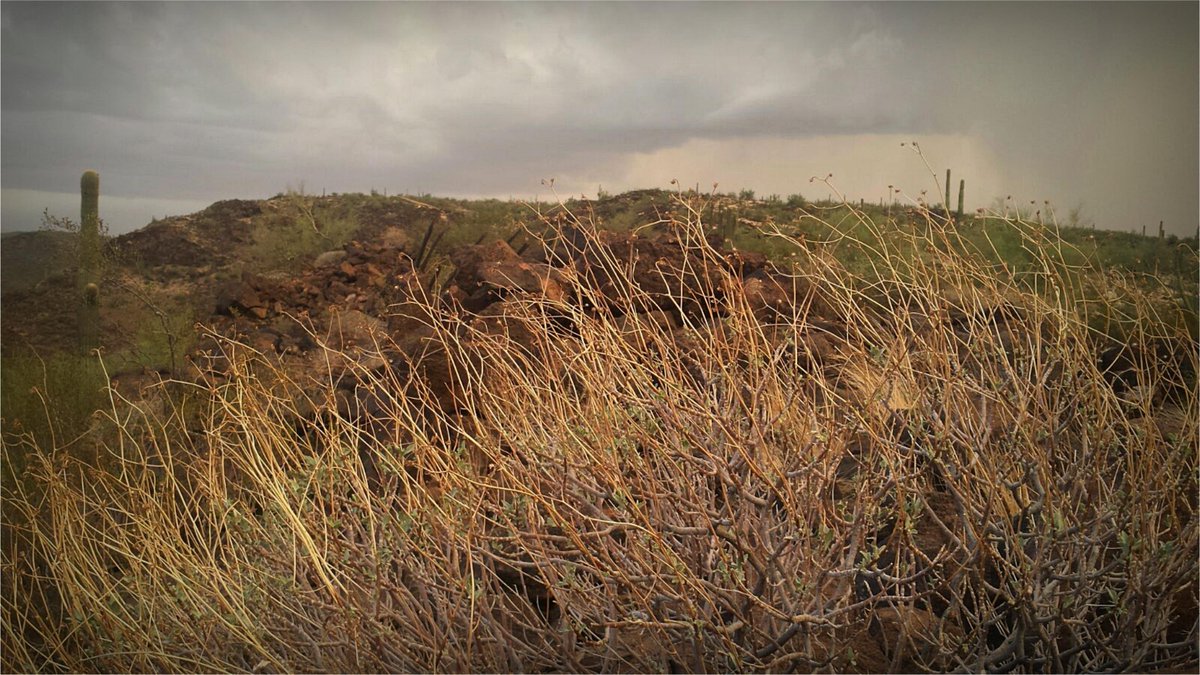 VisualesISC's tweet image. Te presentamos la serie ganadora del tercer lugar de Patricio Aguilar en el Concurso de Fotografía de Aficionados: