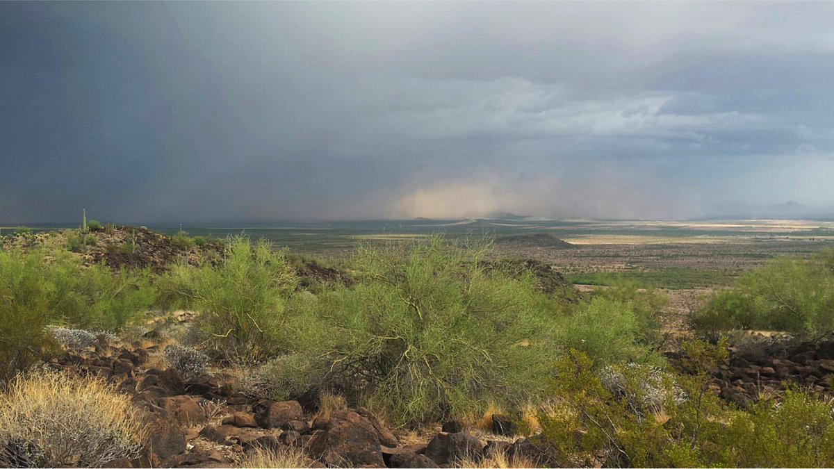 VisualesISC's tweet image. Te presentamos la serie ganadora del tercer lugar de Patricio Aguilar en el Concurso de Fotografía de Aficionados: