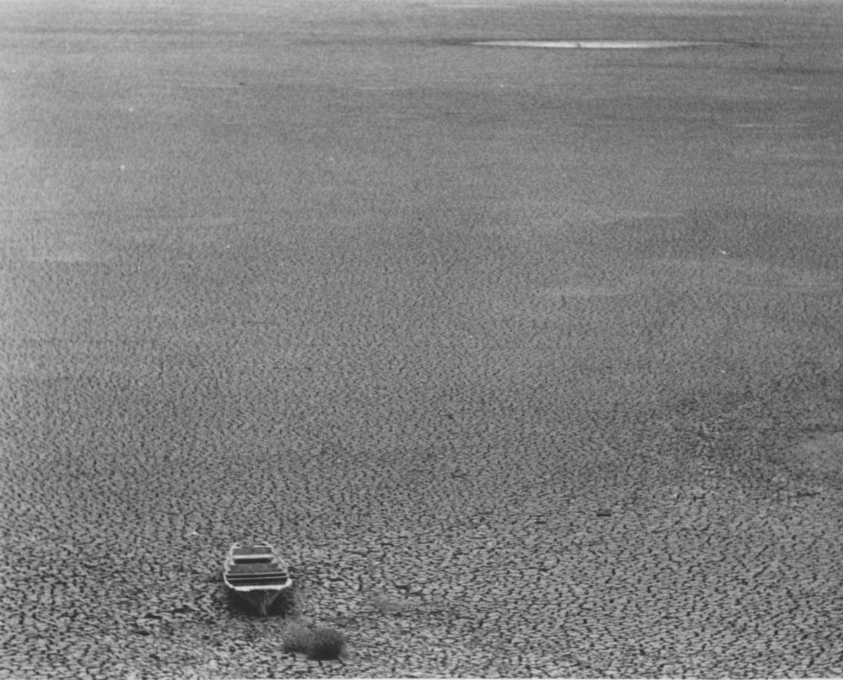 VisualesISC's tweet image. El primer lugar del Concurso de Fotografía para Aficionados, Giuseppe Bosco: