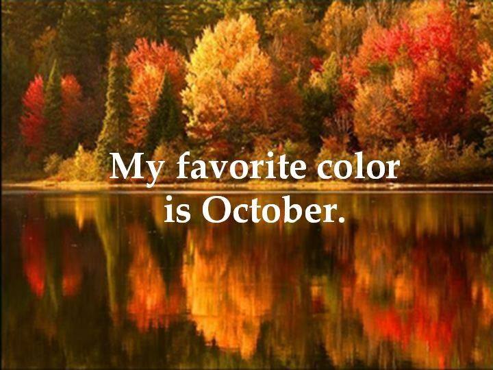 mad_luth's tweet photo. Gorgeous Fall day here in Mass! Loving the weather !!! Hope everyone had a good Monday!!! http://t.co/MpSGxt4uKQ