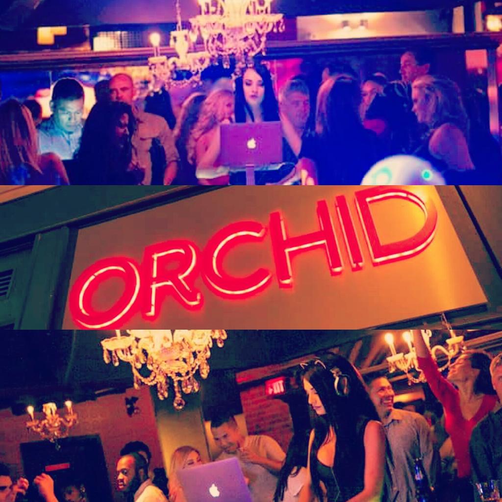 RamiroProd's tweet photo. @Deejaymew rocked @orchidnightclub! Special thanx to @RealHighDiamond @VitaChambers @HollytWolf @devobrown #teamRPI http://t.co/WtAsjjC6lK