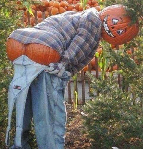 OddNMacabre's tweet photo. It's a Jack-O-Ass!!! http://t.co/qlPJZZHBFe