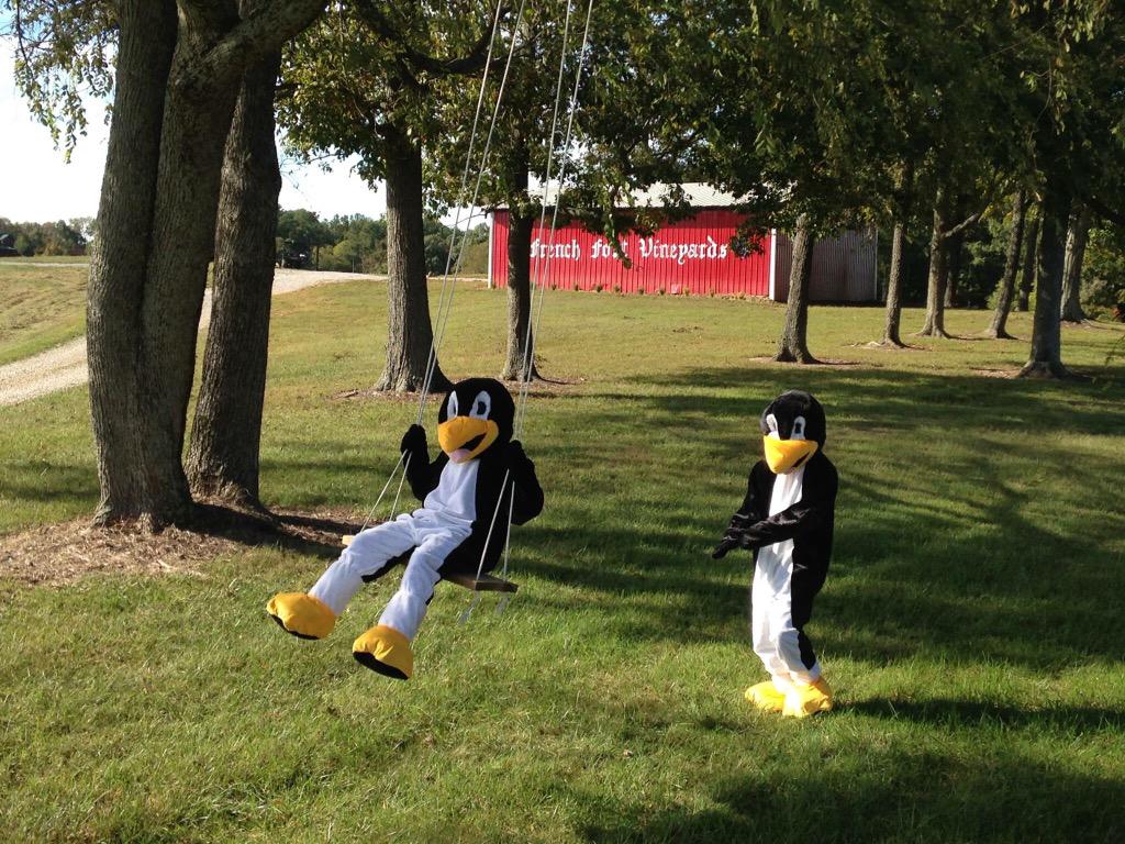 Paquin Farms (PaquinFarms) Twitter