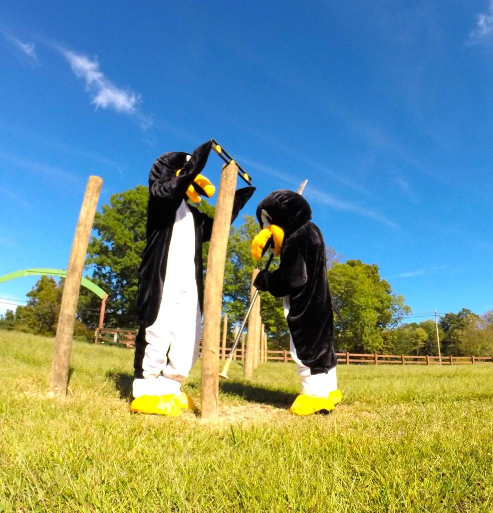 Paquin Farms (PaquinFarms) Twitter