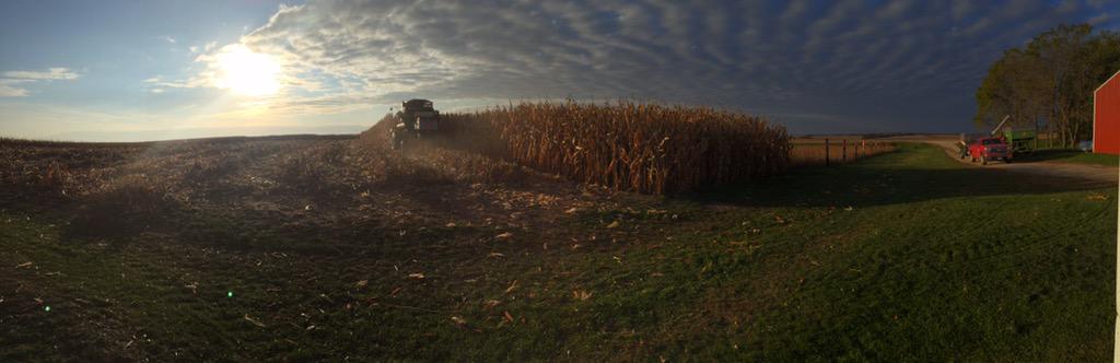 WingertPeter's tweet photo. Happy Harvest! Hard to beat a night like this harvesting Dave and Barb Heim's Plot! #producershybrids #harvest15 http://t.co/DbLJmRk4xk