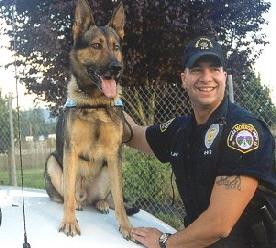 bodyworncamera's tweet photo. Officer Nick Ague Carries Injured Dog To Safety After Vehicle Accident #BlueLivesMatter http://t.co/8gj6buKs9E http://t.co/YiCMEPharE
